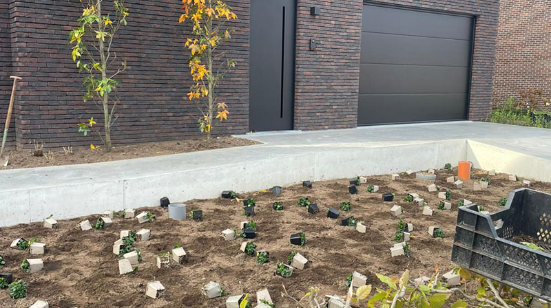 Tuin Van Heden Gezinstuin met wadi Geel