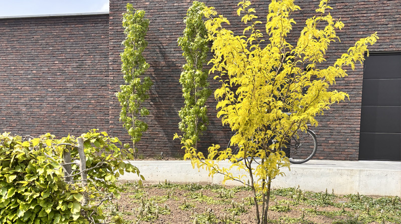 Tuin Van Heden Gezinstuin met wadi Geel