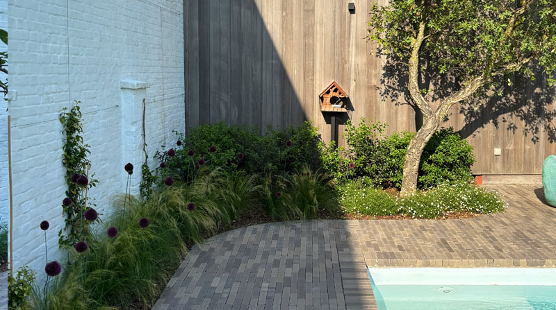 Tuin Van Heden zonneterras bij ommuurde stadstuin met zwembad in Turnhout