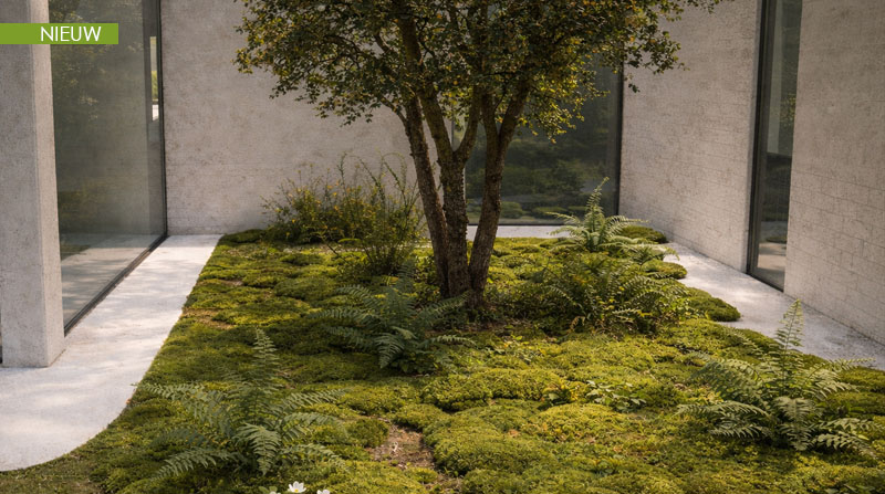 Tuin Van Heden Noordpatio met aangepaste beplanting