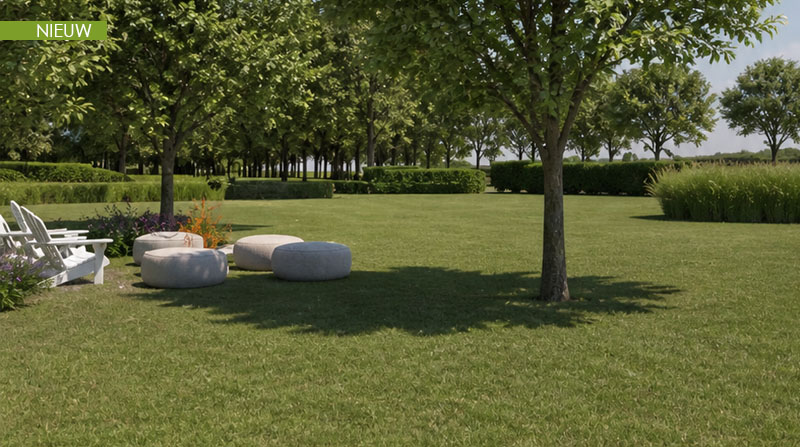 Tuin Van Heden heerlijke firepit zone met zicht op groen